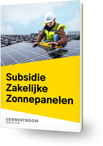 ebook subsidie zakelijke zonnepanelen